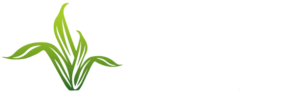 Lady Landscapers Norfolk