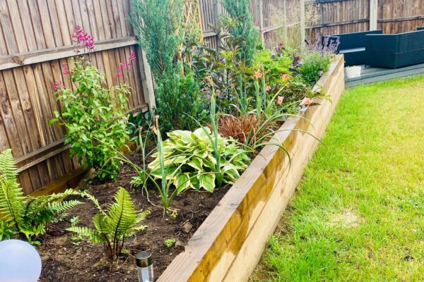 Planting